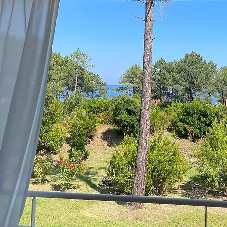 Domaine De Pianiccia * Фавон