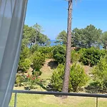 Domaine De Pianiccia * פאבונה
