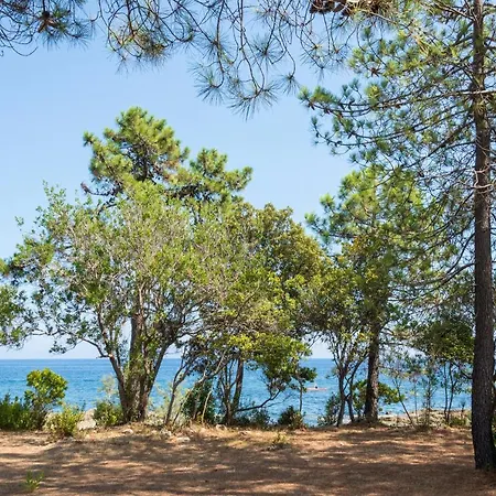 Apartamento Domaine De Pianiccia Favone