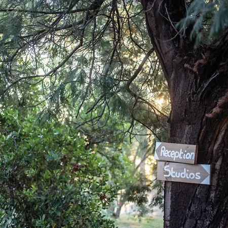 Domaine De Pianiccia Favone