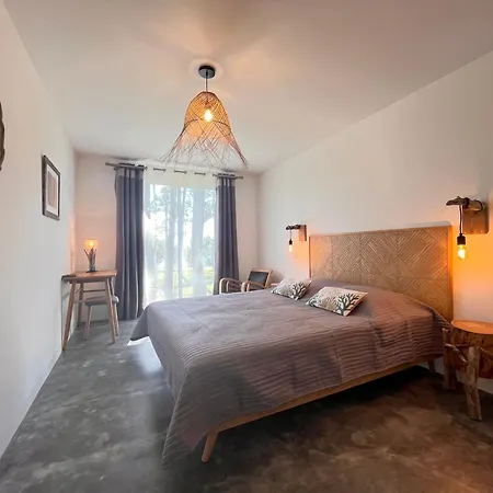 Apartment Domaine De Pianiccia
