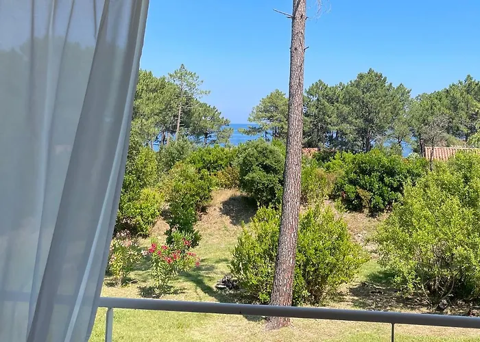 Domaine De Pianiccia * Favone