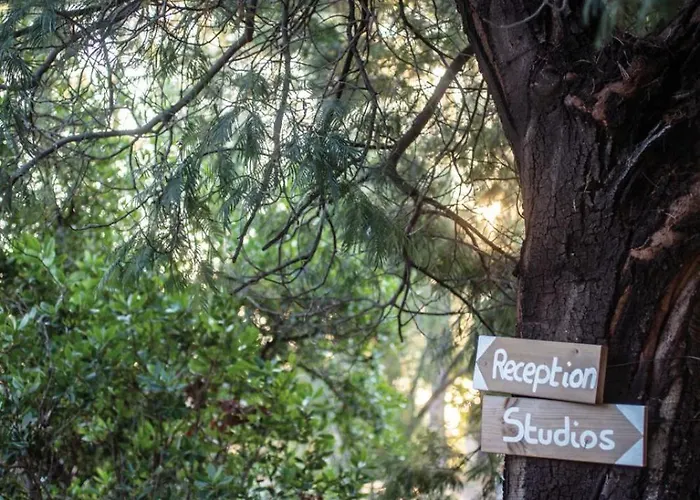 Domaine De Pianiccia Favone