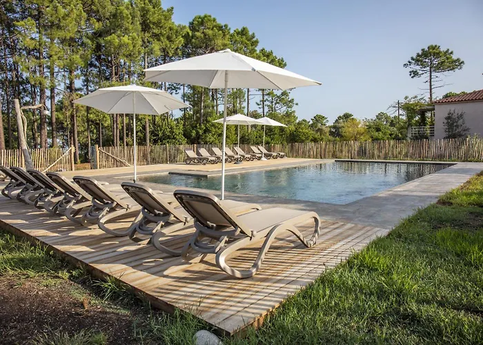Domaine De Pianiccia *