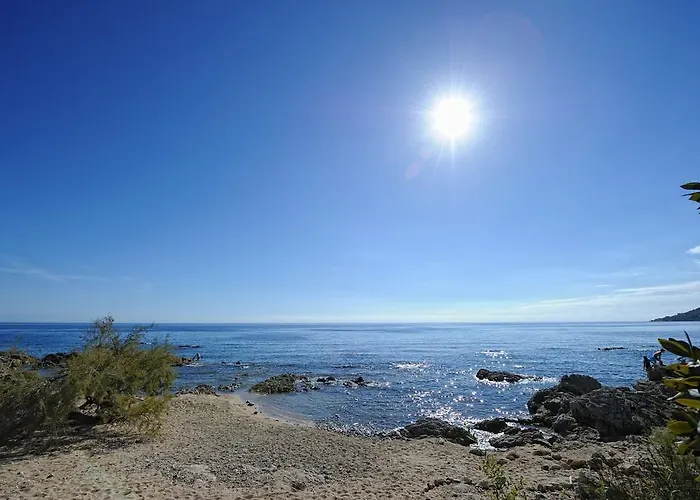 Domaine De Pianiccia